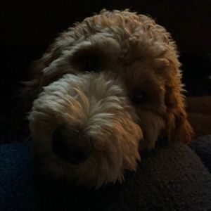 Meet your Posher, Eric